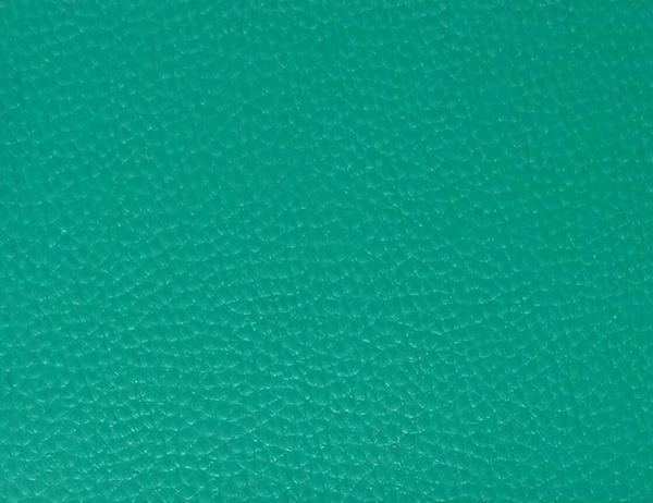 擊劍館運(yùn)動(dòng)地板2